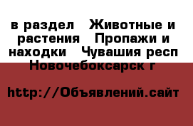  в раздел : Животные и растения » Пропажи и находки . Чувашия респ.,Новочебоксарск г.